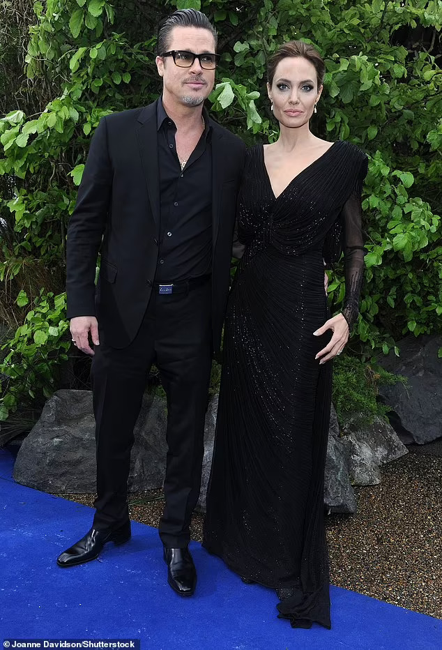Brad Pitt and Angelina Jolie agree on out of court settlement of  $350 million  French vineyard